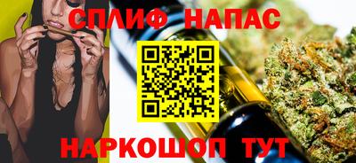 стаф Обнинск