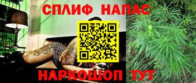 мдпв Обь