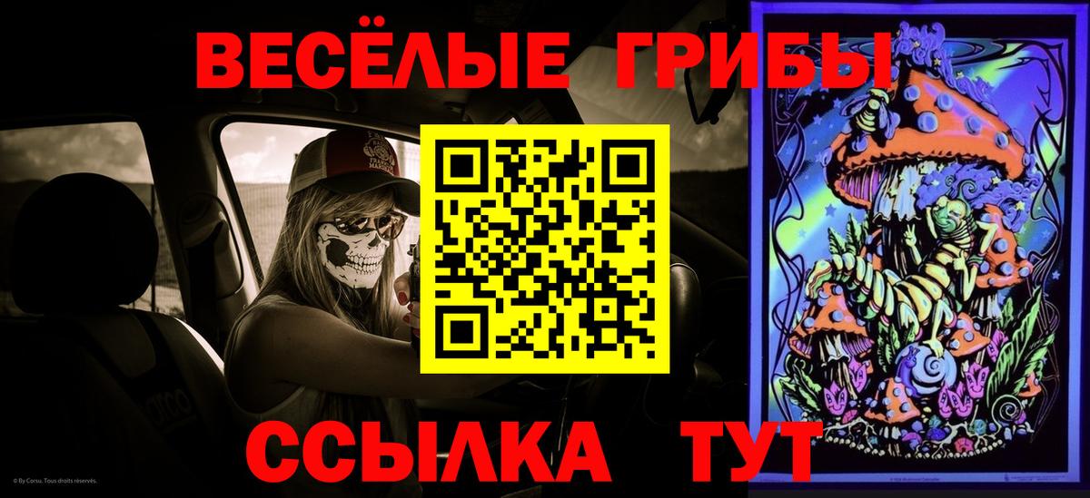 Подольск  Галлюциногенные грибы мухоморы  Вход с VPN 