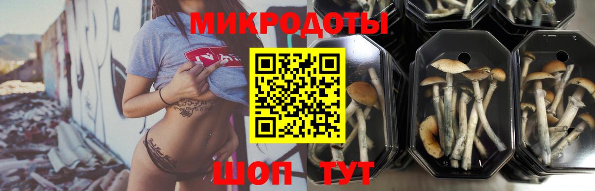 Галлюциногенные грибы Magic Shrooms Подольск